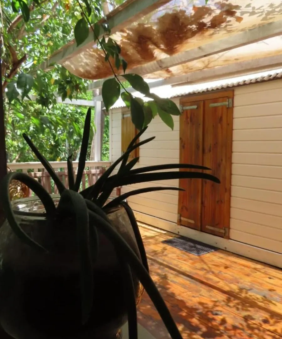 Akunamatata Guest House Cul De Sac Sint Maarten
