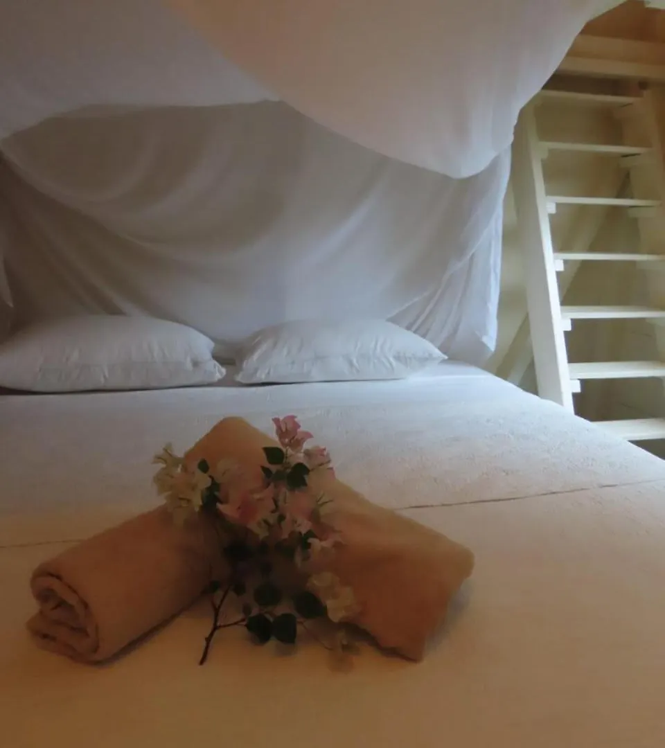 Akunamatata Guest House Cul De Sac